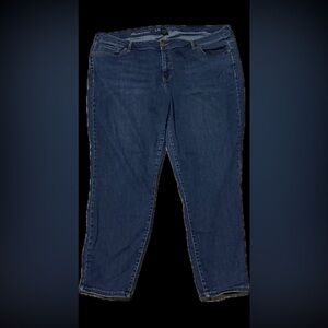 Lane Bryant Dark Blue Straight Leg Jeans